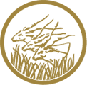 Beac Logo